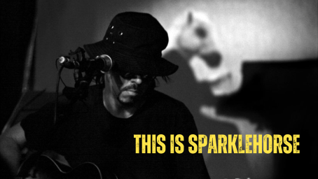 THIS IS SPARKLEHORSE FACEBOOK